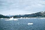 028iceberg55-2l.jpg