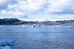 035iceberg56-9l.jpg