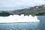 027iceberg55-1t.jpg