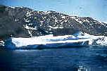 030iceberg55-4t.jpg