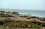 Beach-1.jpg