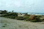 Beach-3.jpg