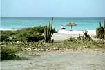 Beach-4.jpg