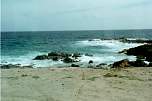 Beach-8.jpg