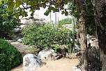Park-4.jpg