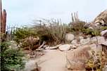 Park-5.jpg